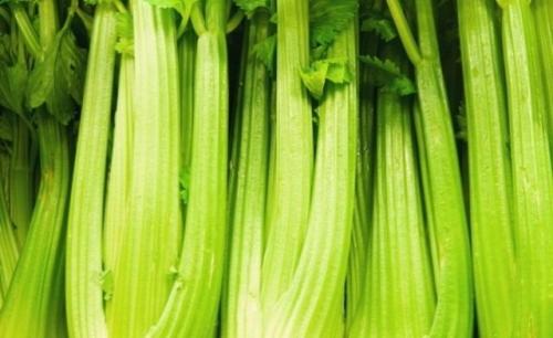 Какие виды зелени считаются самыми полезными для человека. Топ 14 полезной зелени