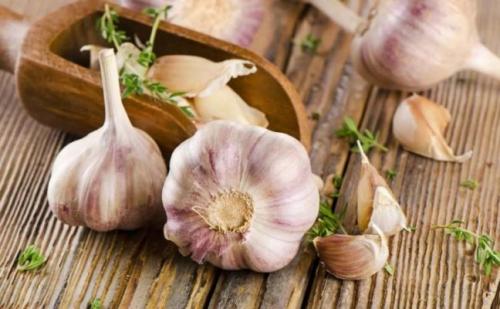 Сок чеснока польза. Польза чеснока