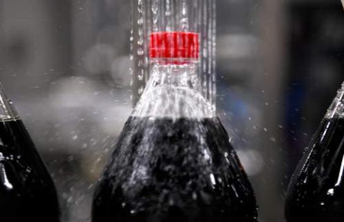 Как правильное питание влияет на пищеварение: лучшие продукты для кишечника 01 Как правильное питание влияет на пищеварение: лучшие продукты для кишечника 01