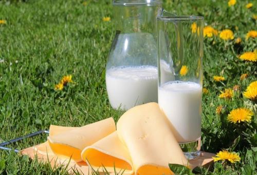 Молочные продукты: польза и вред. Самый полный обзор молочных продуктов: каковы их польза и вред для человека