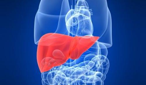 Диета при неалкогольной жировой болезни.. Почему болезнь называют коварной? Нет ни признаков, ни симптомов 02 Диета при неалкогольной жировой болезни.. Почему болезнь называют коварной? Нет ни признаков, ни симптомов 02