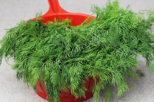 Как правильно хранить зелень, чтобы она дольше оставалась свежей. Как правильно хранить свежую зелень в холодильнике? 4 проверенных способа