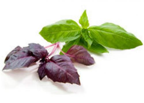 Самый полезный продукт для печени. Список того, что очень нужно для нормальной работы печени: