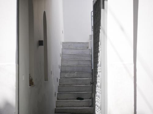 Можно ли предотвратить заболевания через работу с психикой, и как это сделать. Знание своей семейной истории помогает адекватно относиться к болезни