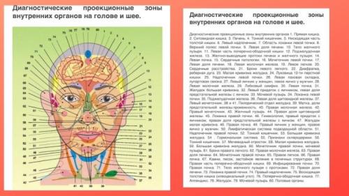 Как работают точки диагностики внутренних органов