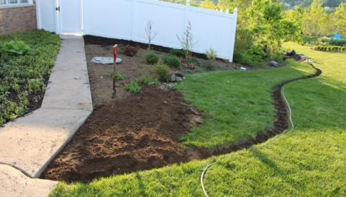 Как ухаживать за клумбой и растениями