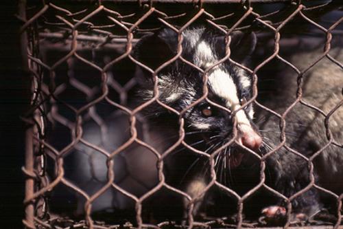 Миф 3: Коронавирус передается только через капли