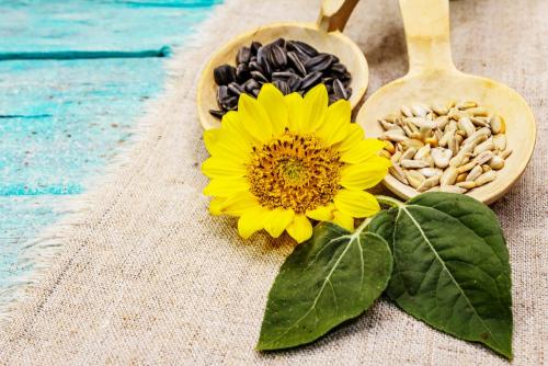 Какие продукты содержат большое количество соли