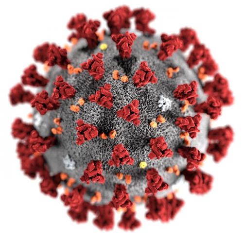 Коронавирус 2024: Новые симптомы и их проявления Коронавирус 2024: Новые симптомы и их проявления